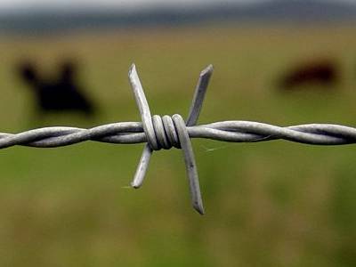 Farm barbed wire fence