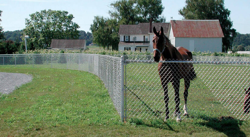 chain link fence for the farm