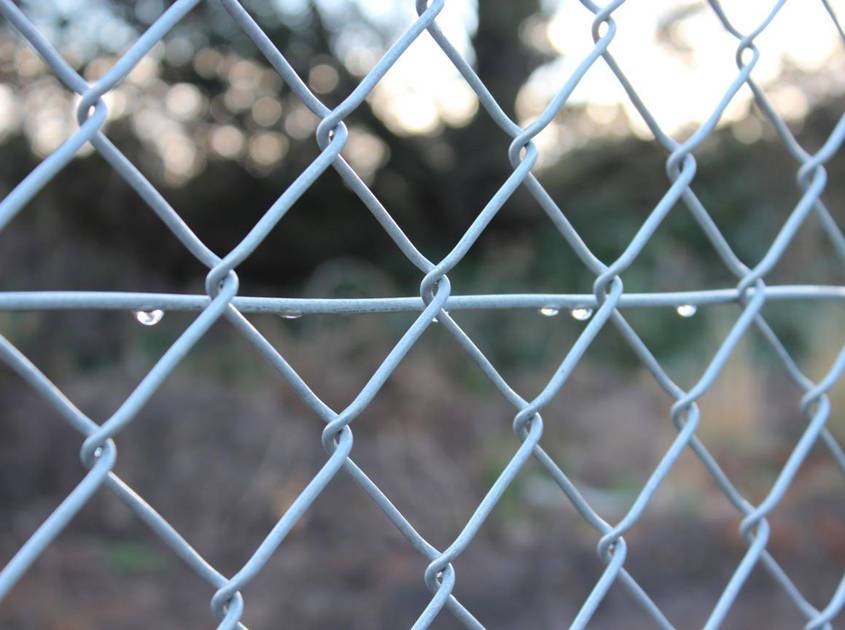 a kind of stainless steel chain link fence in breeding