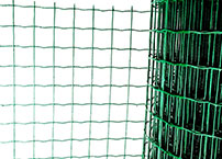 What is the Dutch wire mesh